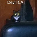 James OCallaghan - @grandheart61 - Twitter