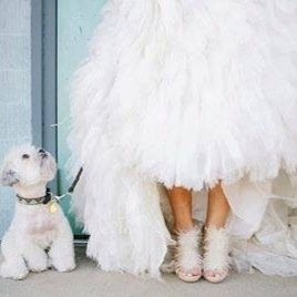 Expert in design with a passion to create. Specialising in bridal flowers and decor. #bride2017 #bride2018 #bride2019 #bride2020 #creations4occasions