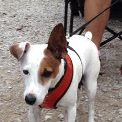 CMWinkel's profile image