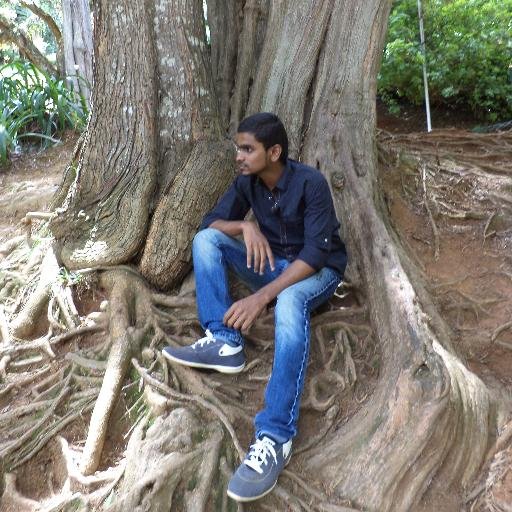 I'm an Enginnering student persuing B.Tech(Information Technology)...I want 2 shine as a professional in IT field..