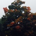 yvette thompson - @ThompsonVett - Twitter