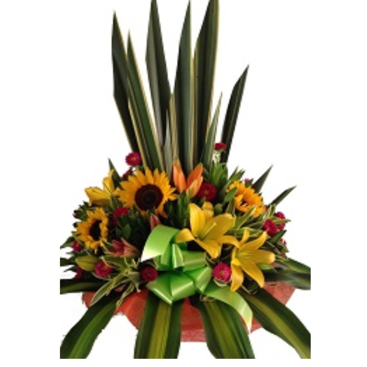 Somos una empresa especializada en el arte floral
Contáctanos: 444 01 52 - centrofloralsantaelena@yahoo.com - http://t.co/ecntC4qxYR