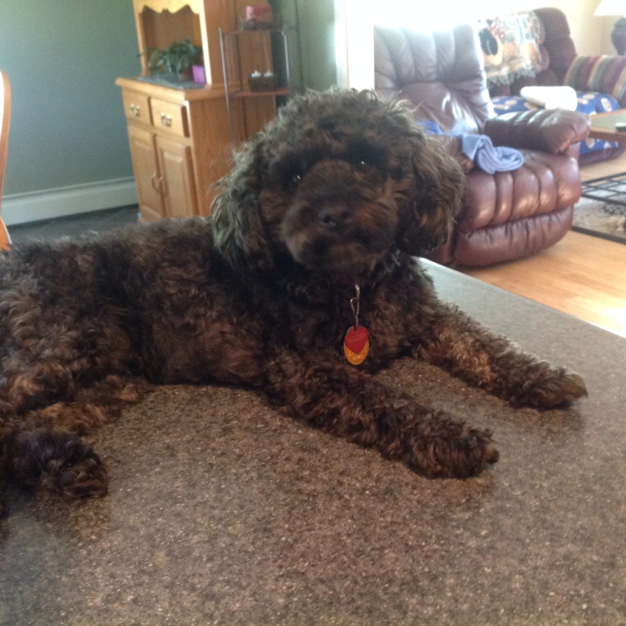 polefamily's profile picture. 