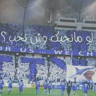 \شراحيلي
