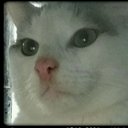 Libby McKee - @libbymck3955 - Twitter