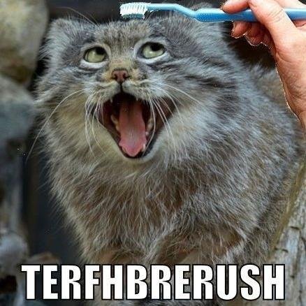 DrLaffingGas's profile picture. I like to laugh at all the stupid things people say when they are under the influence of gas.