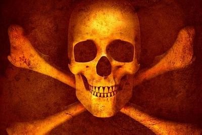 jlombarderoalva's profile picture. 