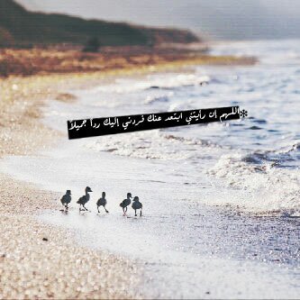 ‏‏يمدحون الذئب وهو خطر عليهم، ويحتقرون الكلب وهو حارس لهم، كثير من الناس يحتقر من يخدمه، ويحترم من يهينه