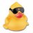 CCSAC1's profile image