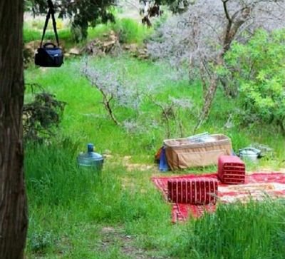 احيانا لا بد ان تدير ظهرك للبعض ليس غرورا ولا ضعفا  وإنما للراحة عن عقول الحمقی
