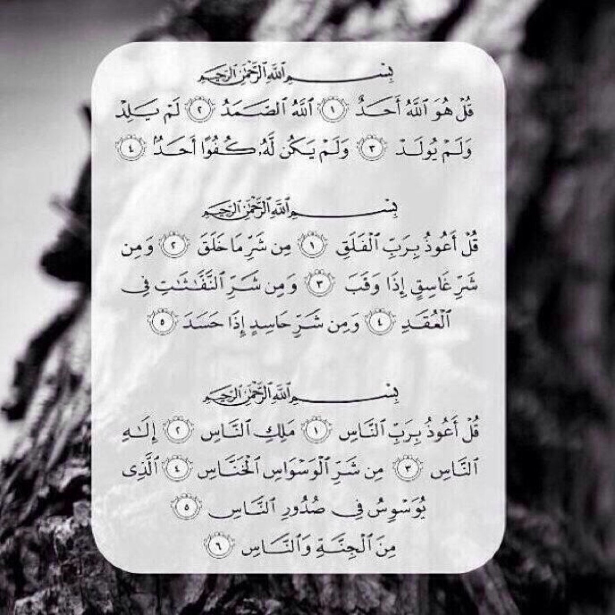 سبحان الله وبحمده سبحان الله العظيم - اللهم صل وسلم على محمد | لعله يشفع لي بعد موتي @Athkar__118
