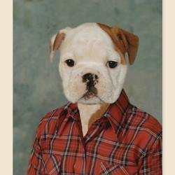 Lanzui_'s profile picture. lol