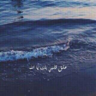 ↓˓❁⸀ء ﮼،ربّي،كُن،لي،وكُن،معي،﮼ '﮼،واجعلني،بك،أقوى،وبك،أغنى،﮼ ..💫💭 🍁💜