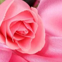 جاري حذف الحساب  (@hailey32_32) 's Twitter Profile