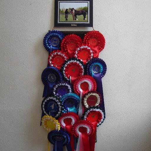 rosettedisplay's profile picture. 'Display your rosettes'  Personalised handmade Rosette Display Hangers by Alison Whitehurst 'The ideal way to display your 'hard earned' winning rosettes