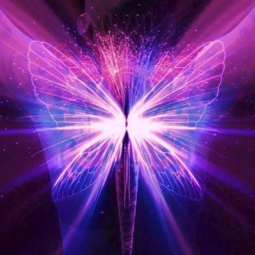 Bella_Tweetie's profile picture. 