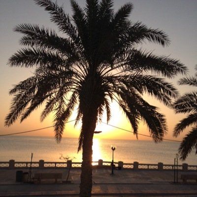 Frutz_7's profile picture. Saudi citizen, photographer and video maker .. brave & clarity i'm 22 Y.O from no where
