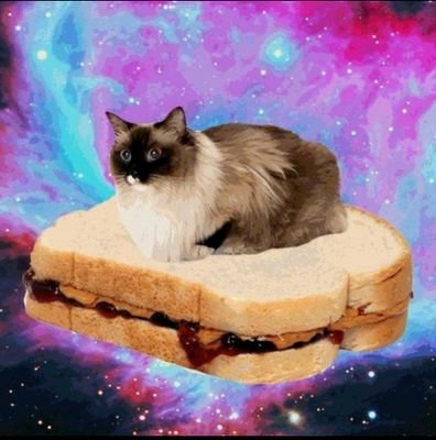 Original_Zvps's profile picture. looking for a clan