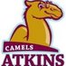Atkins High School (@atkins_hs) Twitter profile photo