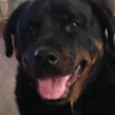 Mary Gustin - @gustin_mary - Twitter