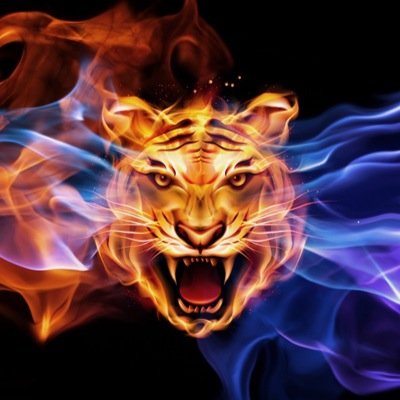 Plz follow me