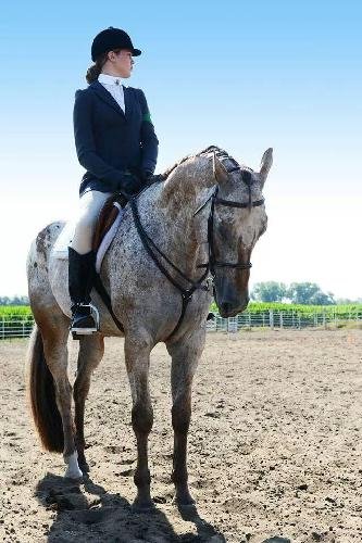 s_wertenberger's profile picture. 