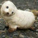 Westley Smith - @453de94b951745e - Twitter