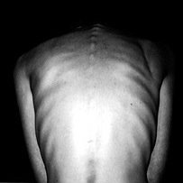 Withering away...but that's okay. 5'8 SW - 146 CW - 122 GW - 110 UGW - 99 (HW - 148 LW - 120)