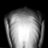 StarvingSlowly's profile image
