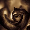 susie deleon - @deleon_susie - Twitter