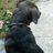 juju1981's profile image