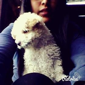 where is the love???