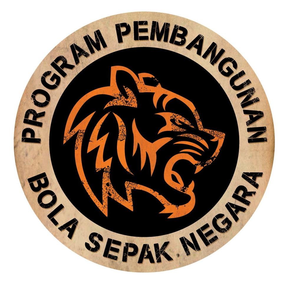 Program Pembangunan Bola Sepak Negara ( NFDP )
