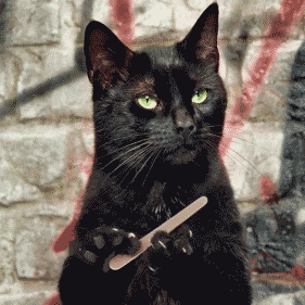 #LulzWarfare : High-quality, low-cost entertainment at your government's expense. Not for the weak of heart or forehead. };}) #Lulz & more.18+