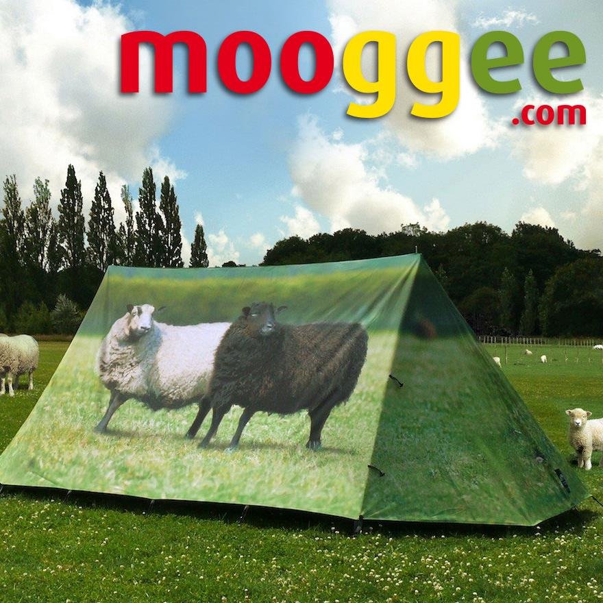 mooggeecamping's profile picture. Pre-Pitched Accommodation for Australian Events, Currently at @fallsofficial @CampfireFestAUS