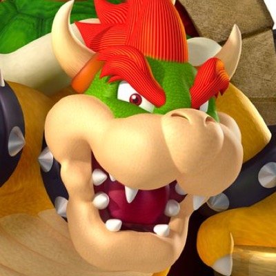 I'm the leader and most powerful of the turtle-like koopa race, and I have been the greedy nemesis of Mario ever since his first appearance. |RP/Multiverse.|