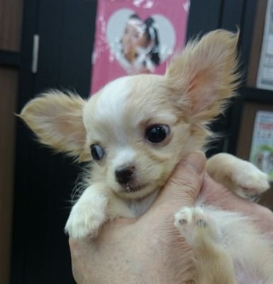 michi2775's profile picture. …