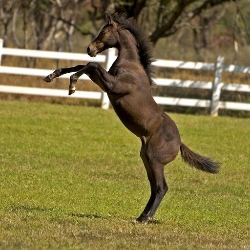 KarenIsberg's profile picture. 