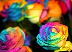 im a 13 year old girl who is always fiding the bright side of everything.im basically always happy!! just remeber never change who you are for anyone.yor beutif