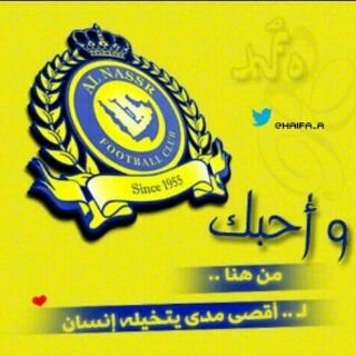 محب كورة القدم عاشق العالمي
