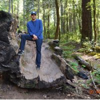 SATISH singh - सतीश सिंह (@satsingh77) 's Twitter Profile