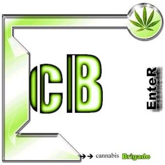 CannabisBrigade's profile picture. CB_ is a gaming clan consisting of good folk who appreciate good times, good drink, good company, and good WEED. worldoftanks heroesngenerals