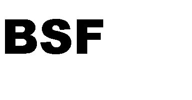 BrickStudioF's profile picture. Thanks for stocking by;)