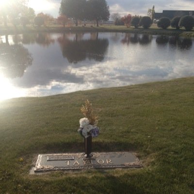 hayleyt's profile picture. Live every week like its Shark Week.