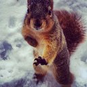 Barry Calnan - @bcalnan - Twitter