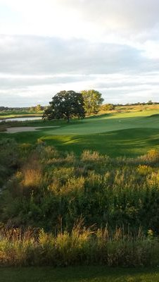 SCfoodanddrink's profile picture. 