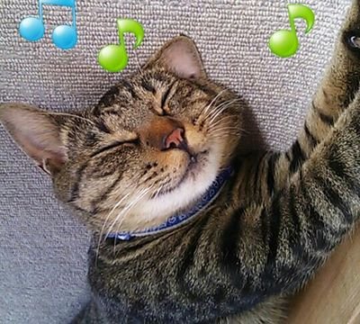 plustard3924's profile picture. 