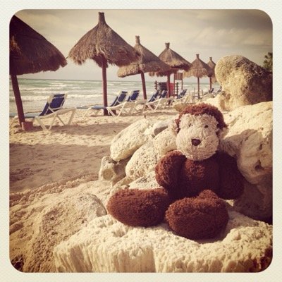 kitkatbrighton's profile picture. 