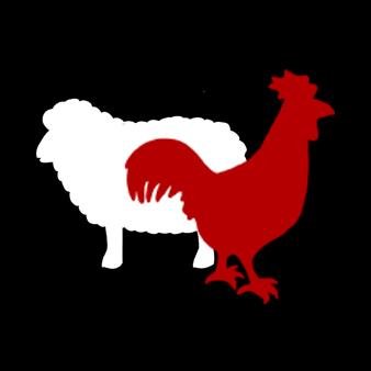 Rooster Sheep is a New Zealand based fan group of everything Rooster Teeth. Get it? Cuz there are a lot of sheep here.....You know...... Well, this is awkward