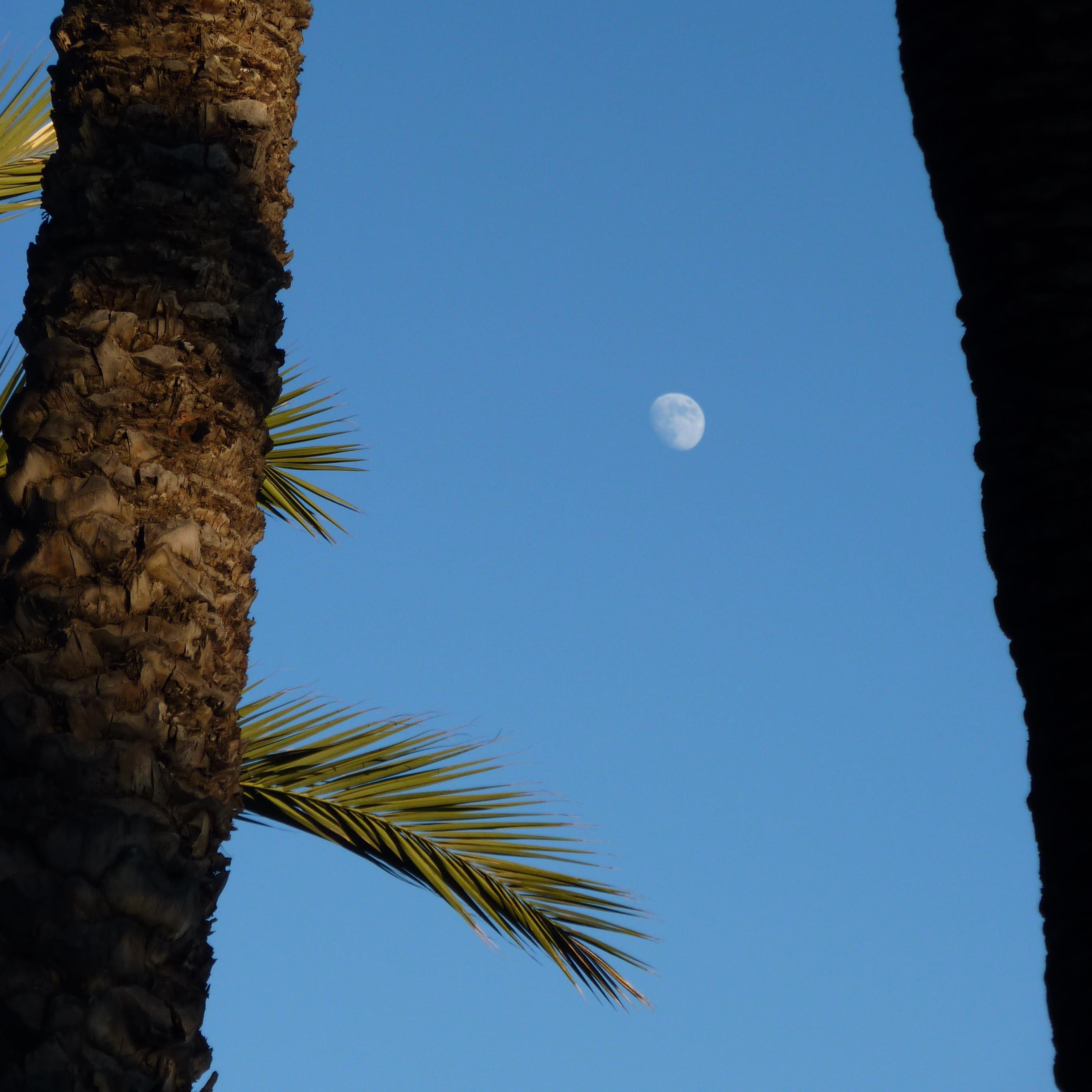 SacarEnLimpio's profile picture. 